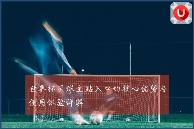 世界杯买球主站入口的核心优势与使用体验详解