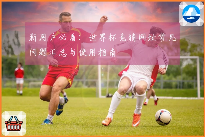 新用户必看：世界杯竞猜网址常见问题汇总与使用指南