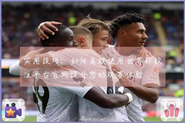 实用技巧：如何高效使用世界杯投注平台官网提升您的观赛体验