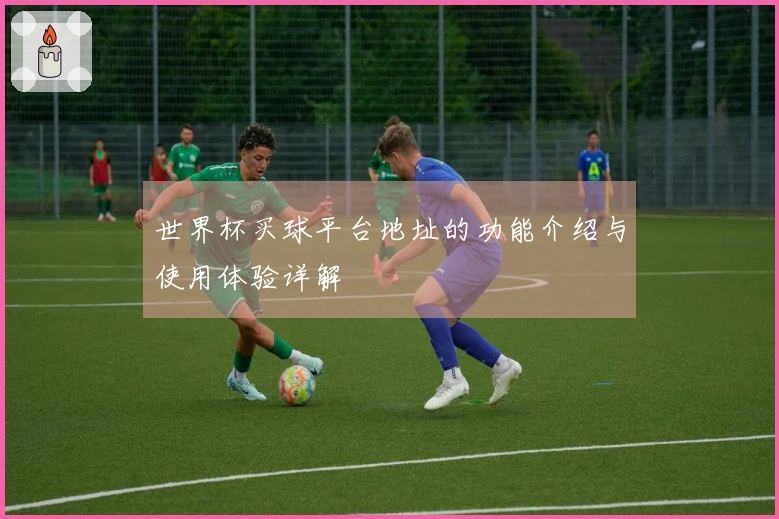 世界杯买球平台地址的功能介绍与使用体验详解