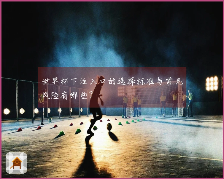 世界杯下注入口的选择标准与常见风险有哪些?