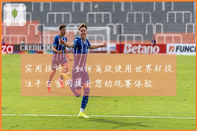实用技巧：如何高效使用世界杯投注平台官网提升您的观赛体验