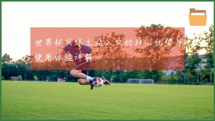 世界杯买球主站入口的核心优势与使用体验详解