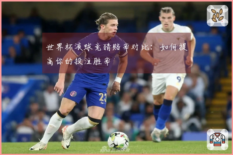 世界杯滚球竞猜赔率对比：如何提高你的投注胜率