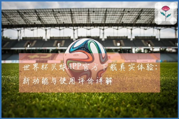 世界杯买球APP官方下载真实体验：新功能与使用评价详解