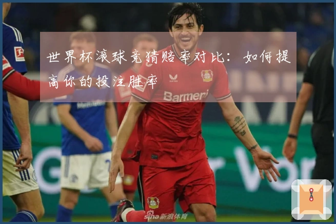世界杯滚球竞猜赔率对比：如何提高你的投注胜率