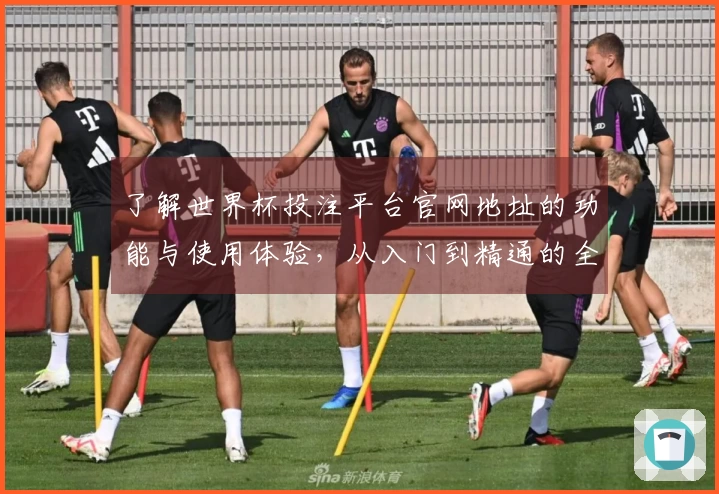 了解世界杯投注平台官网地址的功能与使用体验，从入门到精通的全面指南