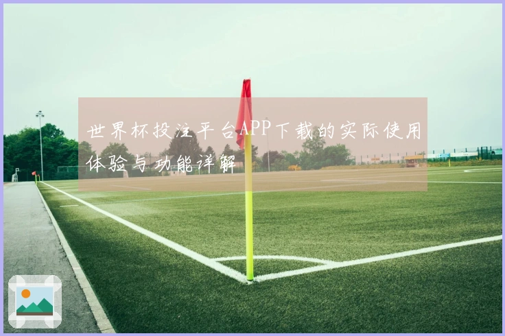 世界杯投注平台APP下载的实际使用体验与功能详解