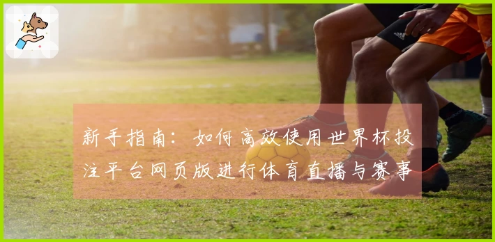新手指南：如何高效使用世界杯投注平台网页版进行体育直播与赛事追踪