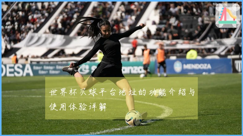 世界杯买球平台地址的功能介绍与使用体验详解