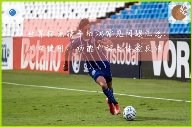 世界杯竞猜手机端常见问题汇总：入口使用、功能介绍与体验反馈