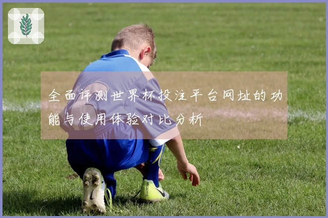 全面评测世界杯投注平台网址的功能与使用体验对比分析