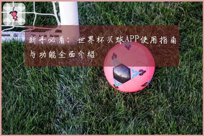 新手必看：世界杯买球APP使用指南与功能全面介绍