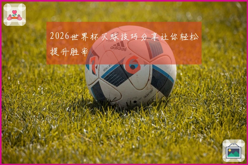 2026世界杯买球技巧分享让你轻松提升胜率