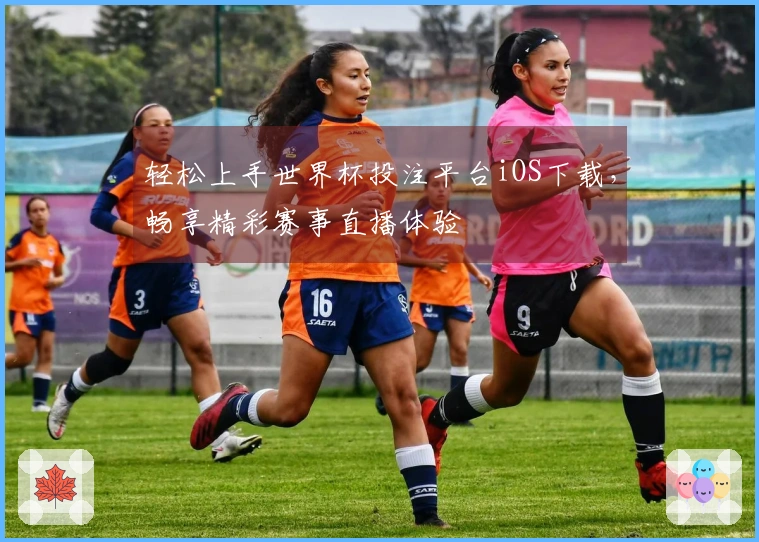 轻松上手世界杯投注平台iOS下载,畅享精彩赛事直播体验