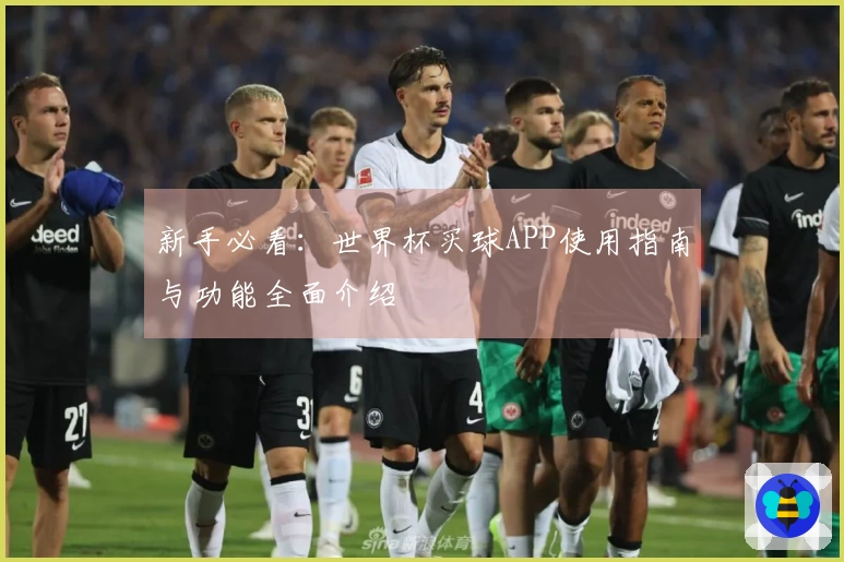 新手必看：世界杯买球APP使用指南与功能全面介绍
