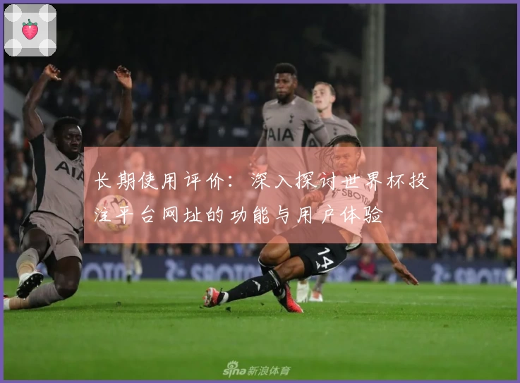 长期使用评价：深入探讨世界杯投注平台网址的功能与用户体验